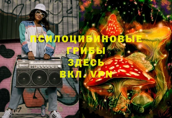 экстази Вяземский