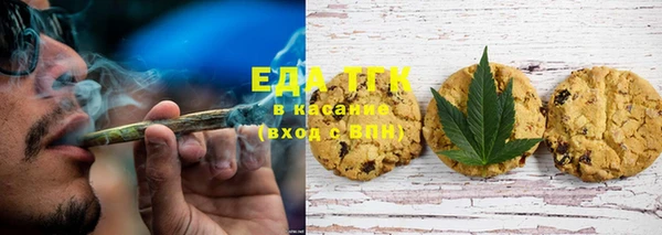 гашик Вязьма