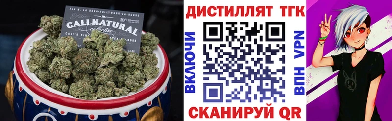 ТГК концентрат  Купить где  Красный Холм 
